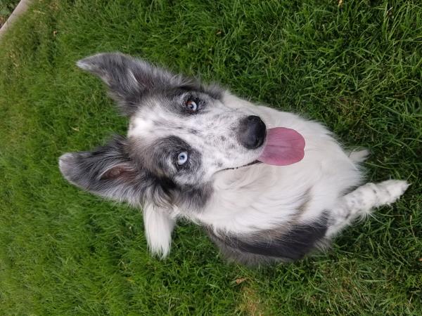 /Images/uploads/Humane Society of Utah/HSUCalendar/entries/1551thumb.jpg